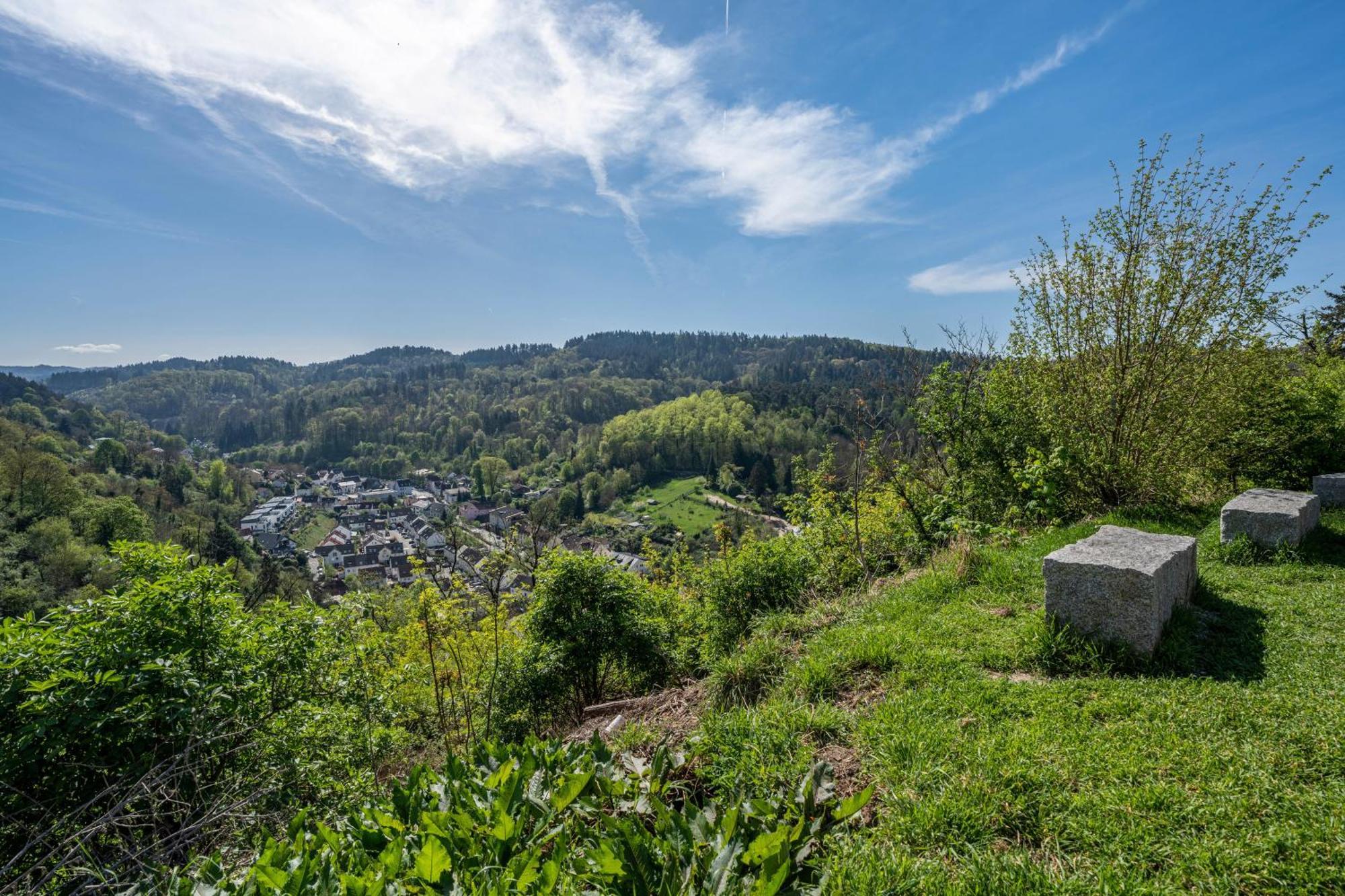 Ferienwohnung Drachenstein Weinheim Bagian luar foto
